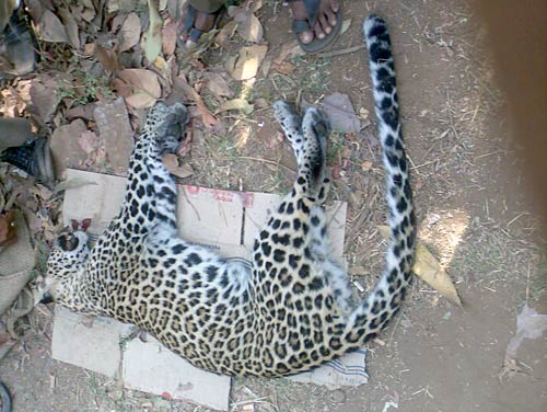 जो तस्‍वीरें आपने भेजी, उसे देखें