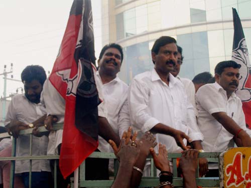 गुलाल व आतिशबाजी संग मना जश्न  | जीत का ताज