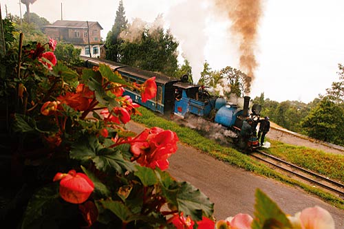 गर्मियों में चलें दार्जीलिंग | कीजिए 'जन्‍नत' की सैर