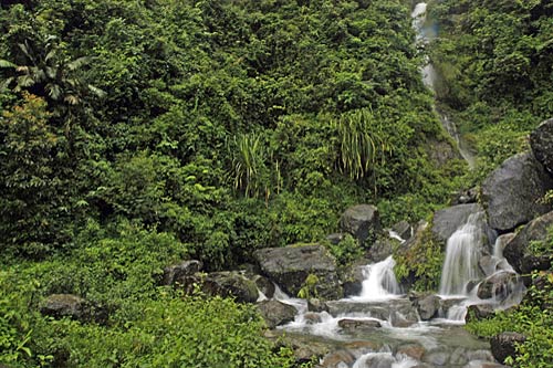 गर्मियों में चलें दार्जीलिंग | कीजिए 'जन्‍नत' की सैर