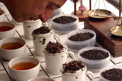 गर्मियों में चलें दार्जीलिंग | कीजिए 'जन्‍नत' की सैर