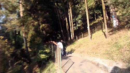 गर्मियों में चलें दार्जीलिंग | कीजिए 'जन्‍नत' की सैर