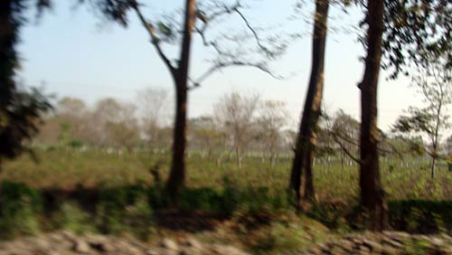 गर्मियों में चलें दार्जीलिंग | कीजिए 'जन्‍नत' की सैर