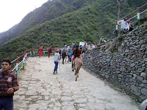 स्‍वर्ग के द्वार खोलते बद्रीनाथ-केदारनाथ | देखें दार्जीलिंग