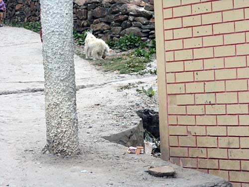 स्‍वर्ग के द्वार खोलते बद्रीनाथ-केदारनाथ | देखें दार्जीलिंग