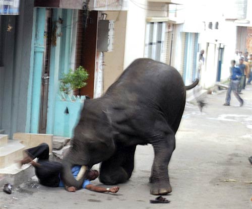 8 जून 2011: तस्‍वीरों में दिनभर की बड़ी खबरें