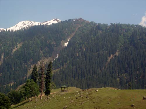 इन गर्मियों में सैर करें 'जन्नत' की... | देखें दार्जीलिंग