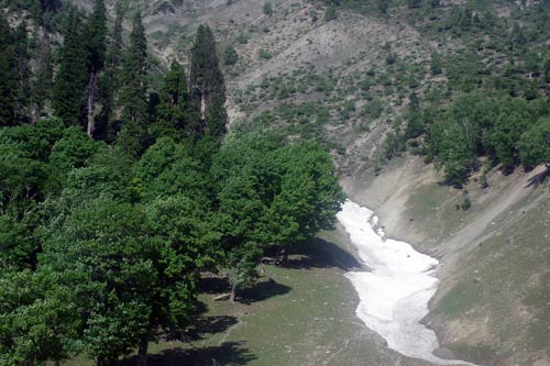 इन गर्मियों में सैर करें 'जन्नत' की... | देखें दार्जीलिंग