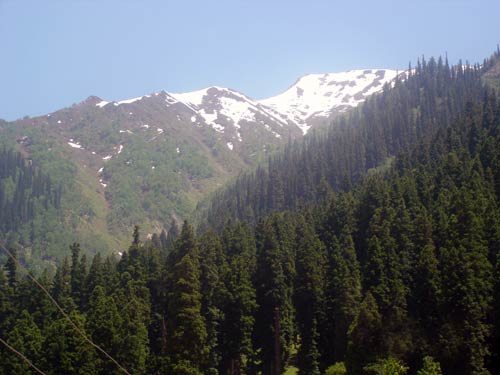 इन गर्मियों में सैर करें 'जन्नत' की... | देखें दार्जीलिंग