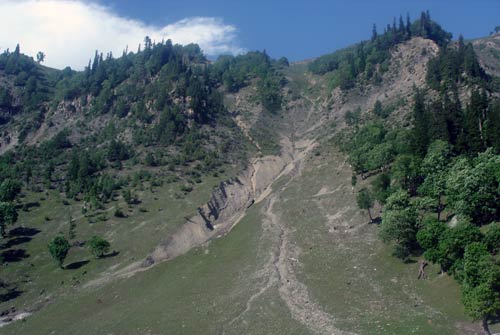 इन गर्मियों में सैर करें 'जन्नत' की... | देखें दार्जीलिंग