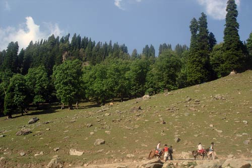 इन गर्मियों में सैर करें 'जन्नत' की... | देखें दार्जीलिंग