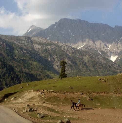 इन गर्मियों में सैर करें 'जन्नत' की... | देखें दार्जीलिंग