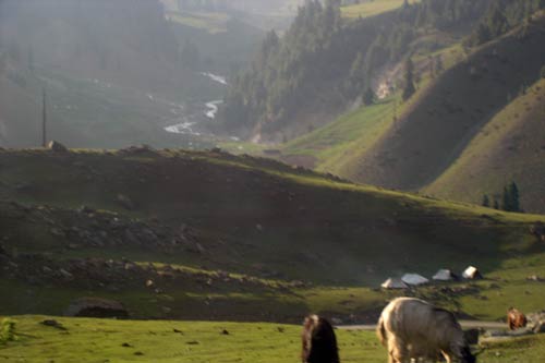 इन गर्मियों में सैर करें 'जन्नत' की... | देखें दार्जीलिंग