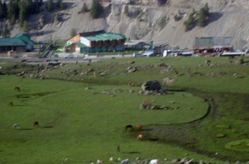 इन गर्मियों में सैर करें 'जन्नत' की... | देखें दार्जीलिंग