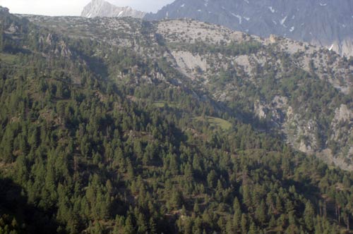 इन गर्मियों में सैर करें 'जन्नत' की... | देखें दार्जीलिंग