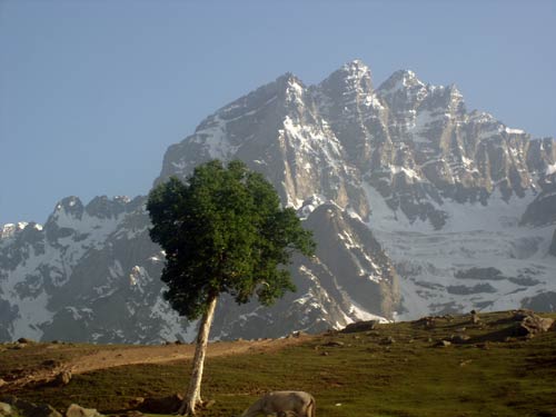 इन गर्मियों में सैर करें 'जन्नत' की... | देखें दार्जीलिंग