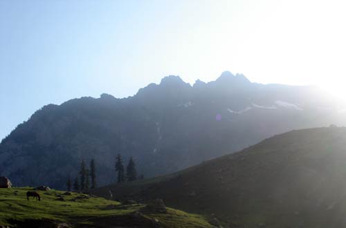 इन गर्मियों में सैर करें 'जन्नत' की... | देखें दार्जीलिंग