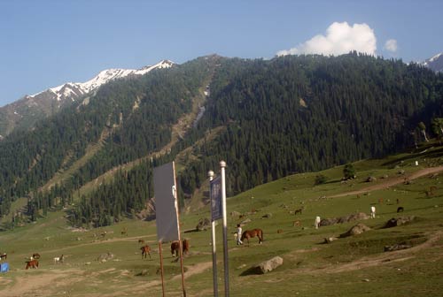 इन गर्मियों में सैर करें 'जन्नत' की... | देखें दार्जीलिंग