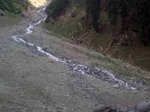 इन गर्मियों में सैर करें 'जन्नत' की... | देखें दार्जीलिंग