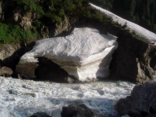 इन गर्मियों में सैर करें 'जन्नत' की... | देखें दार्जीलिंग