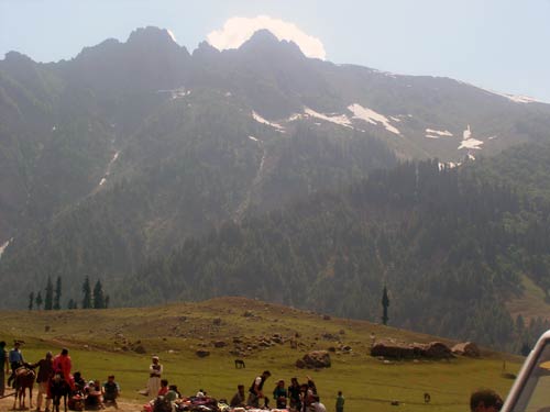 इन गर्मियों में सैर करें 'जन्नत' की... | देखें दार्जीलिंग