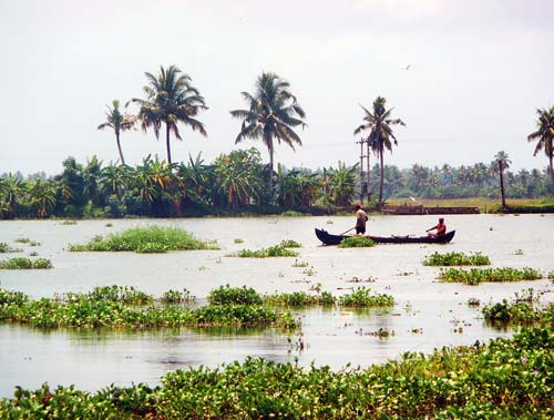 लाजवाब है केरल का प्राकृतिक सौंदर्य