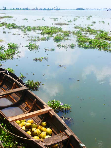 लाजवाब है केरल का प्राकृतिक सौंदर्य