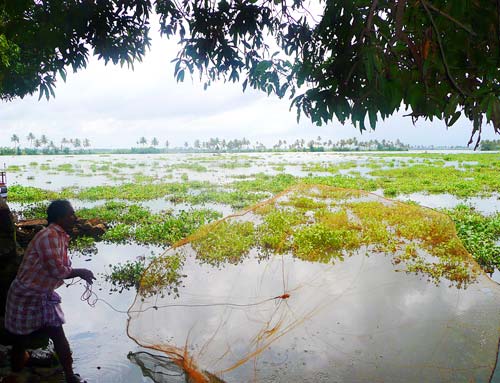 लाजवाब है केरल का प्राकृतिक सौंदर्य