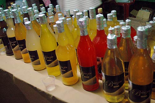 पर्यटकों को रिझाती हैं मेघालय की घटाएं...