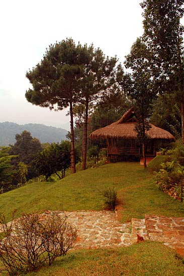 पर्यटकों को रिझाती हैं मेघालय की घटाएं...