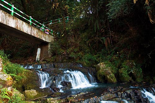 पर्यटकों को रिझाती हैं मेघालय की घटाएं...