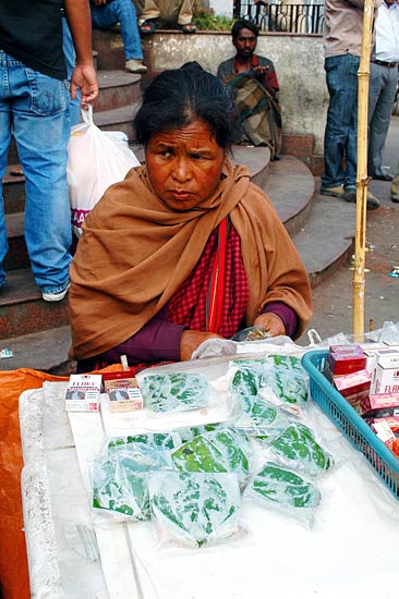 पर्यटकों को रिझाती हैं मेघालय की घटाएं...