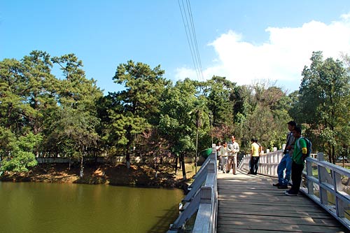 पर्यटकों को रिझाती हैं मेघालय की घटाएं...