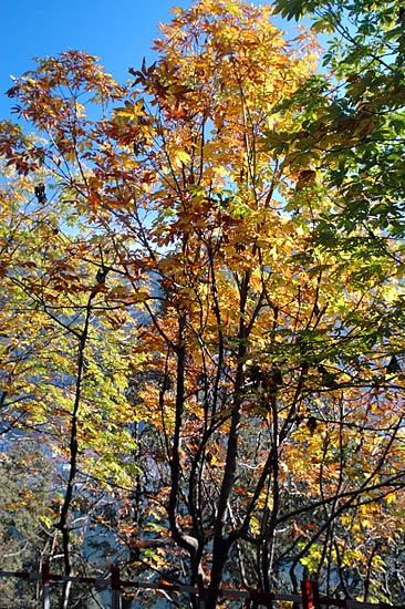 उत्तराखंड में धर्म-कर्म व सैर-सपाटे का आनंद