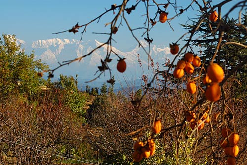 उत्तराखंड में धर्म-कर्म व सैर-सपाटे का आनंद