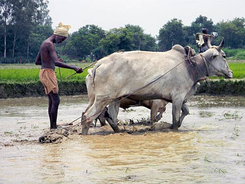 16 जुलाई 2011: तस्‍वीरों में देखें दिनभर की बड़ी खबरें