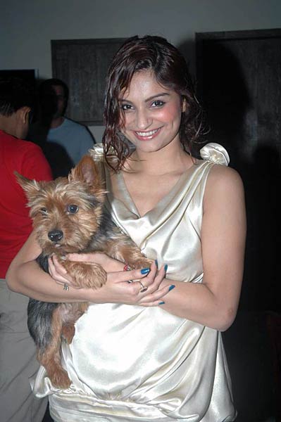 राहुल-डिम्‍पी की पार्टी में धमाल । मान्यता की पार्टी