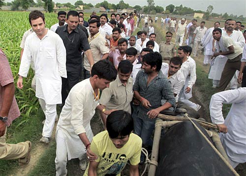 राहुल की 'पदयात्रा' की ताजा तस्‍वीरें । भट्टा में भड़की आग