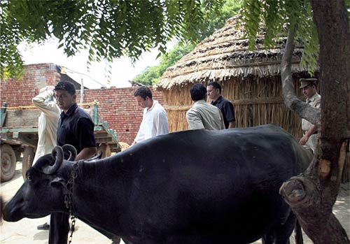 राहुल की 'पदयात्रा' की ताजा तस्‍वीरें । भट्टा में भड़की आग