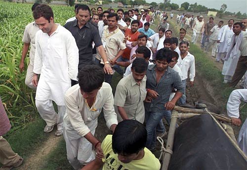 राहुल की 'पदयात्रा' की ताजा तस्‍वीरें । भट्टा में भड़की आग