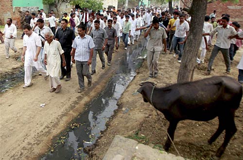 राहुल की 'पदयात्रा' की ताजा तस्‍वीरें । भट्टा में भड़की आग