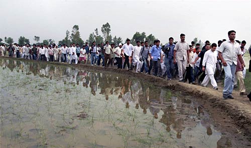 राहुल की 'पदयात्रा' की ताजा तस्‍वीरें । भट्टा में भड़की आग