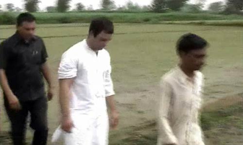 राहुल की 'पदयात्रा' की ताजा तस्‍वीरें । भट्टा में भड़की आग