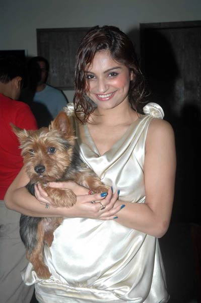 राहुल-डिम्‍पी की पार्टी में धमाल । मान्यता की पार्टी