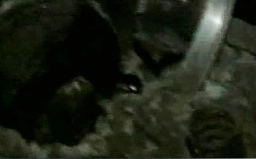 मालदा में बैंगलोर-गुवाहाटी ट्रेन दुर्घटना की पहली तस्वीरें