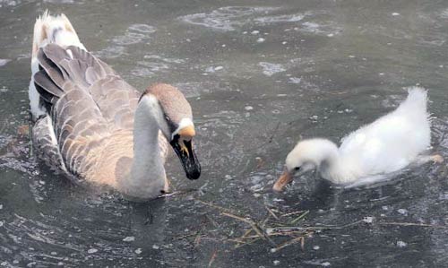 तस्‍वीरों में बीते सप्‍ताह बॉलीवुड की हलचल । बॉलीवुड हसीनाएं