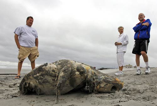 हरीकेन आईरीन से न्‍यूयार्क में भारी तबाही