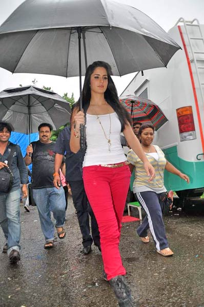 देखें कैटरीना कैफ के ठुमके... | म्‍यूजिक लांच पर कैटरीना