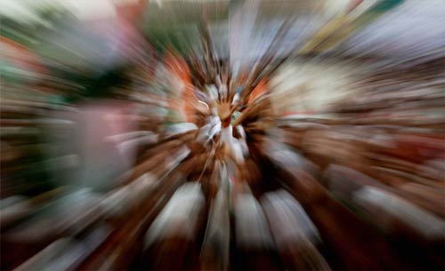 अन्‍ना के अनशन को युवा समर्थन...| अलबेले समर्थक