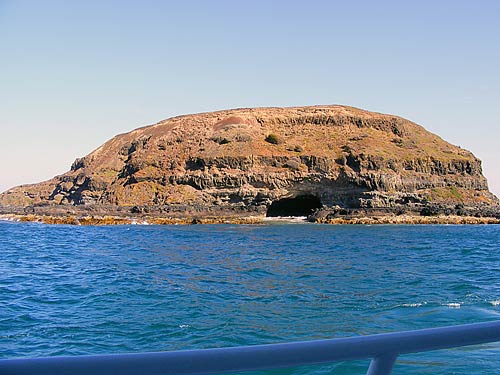 ऑस्‍ट्रेलिया में पर्यटन का बड़ा केंद्र है मेलबॉर्न